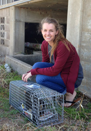 Operation Catnip Stillwater volunteer traps cat (credit: Jacqueline Paritte)