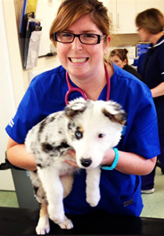 Veterinary student, Valerie Daru, with a dog at Dogs Trust